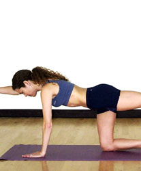 Back Exercises