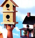 Birdhouse Book
