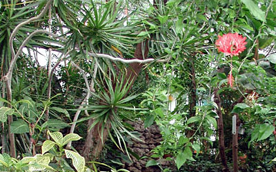 Botanical Garden