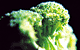 Broccoli Nutrition Health