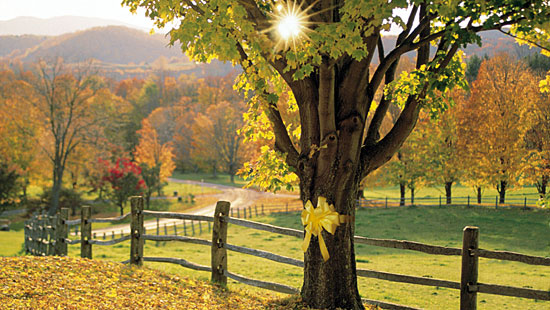 Country