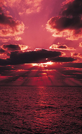 Evening