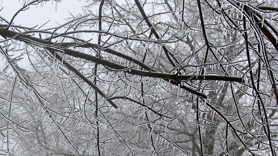 Ice Storm