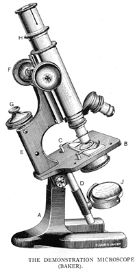 Diagram of Microscope Parts