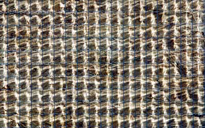Grid