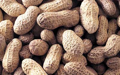 Peanuts
