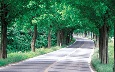 Road
