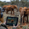 Animal Tracking and Conservation
