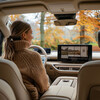 Electric Vehicle Optimization