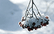 Database Clusters