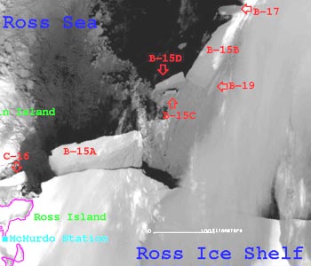 Iceberg Pictures