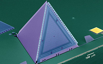 Nano Microphone