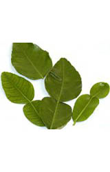 Kaffir Lime Leaves