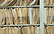 Knowledge Management