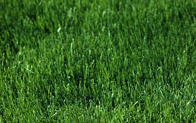 Lawn Maintenance on Lawn Mower Maintenance   Maintenance Prolongs Lawn Mower Life