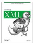 Learning XML