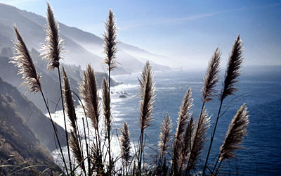 Coast