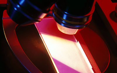 Microscope