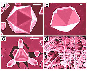 Nanocrystals