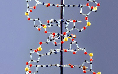 DNA