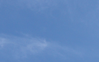 Net Sky Worm Virus
