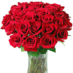 Organic Roses