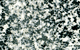 Tonalite
