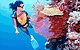 Scuba Diving