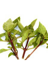 Thai Basil