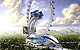 Observation Wheel