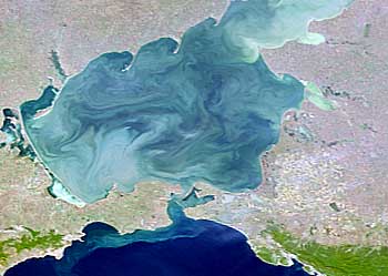 Water Pollution