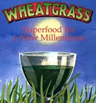 Wheatgrass