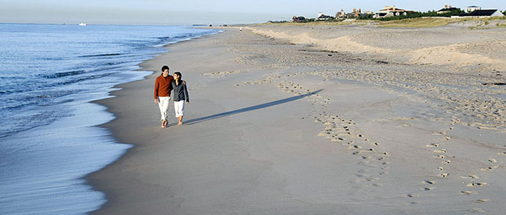 Coopers-beach.jpg