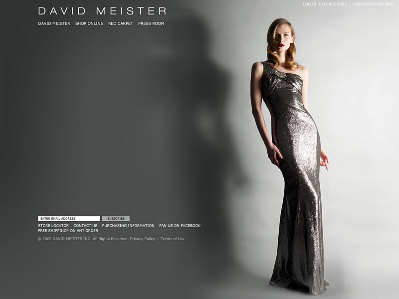 David-meister-site.jpg
