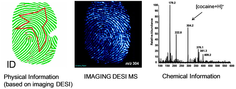 Fingerprint-information.jpg