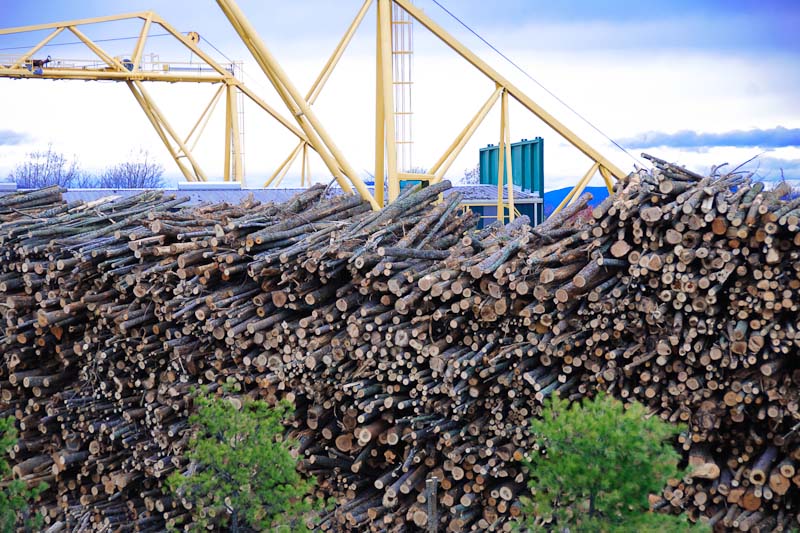 Wood-processing.jpg